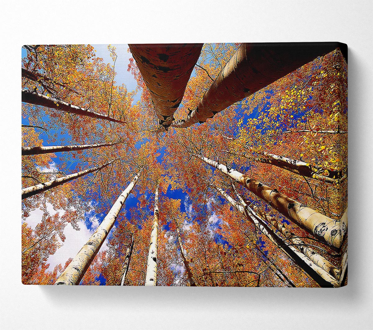 Above The Trees Canvas Wall Art