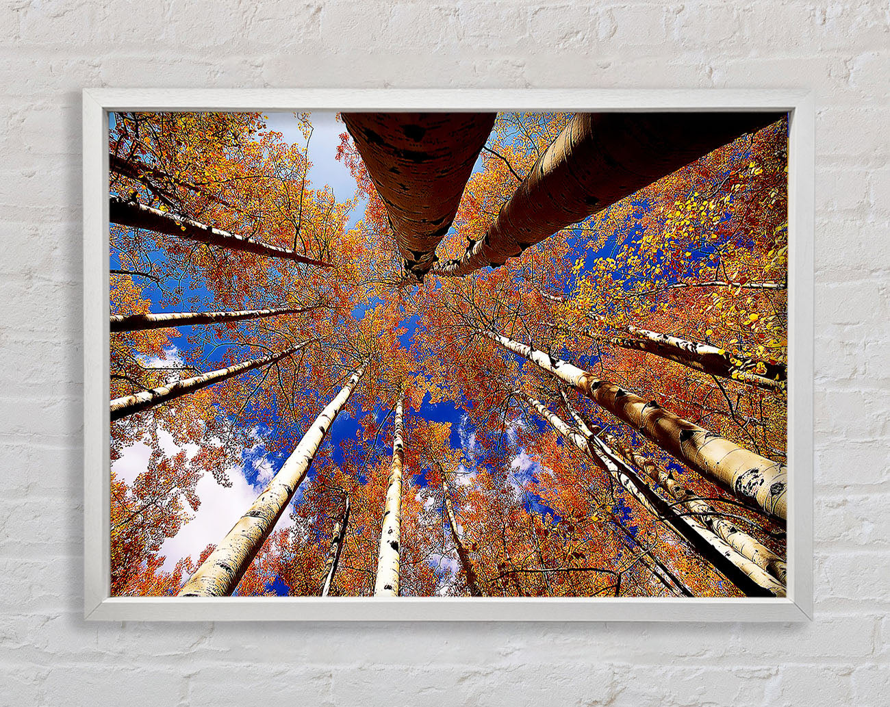 Above The Trees Framed Print