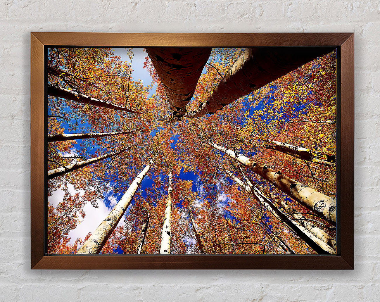 Above The Trees Framed Print