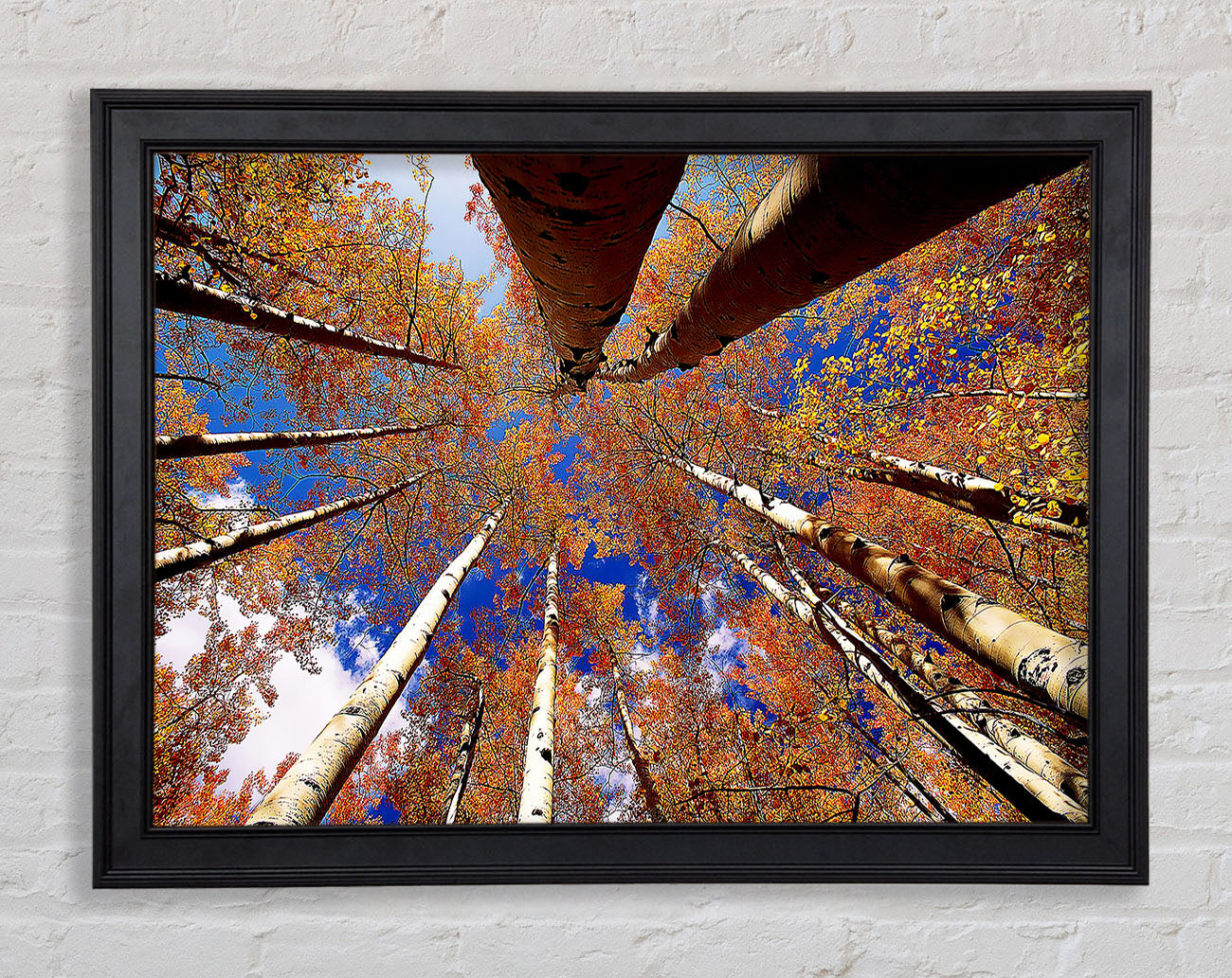 Above The Trees Framed Print