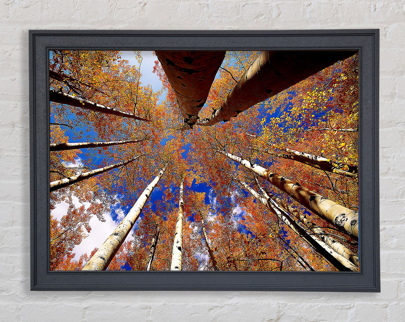 Above The Trees Framed Print