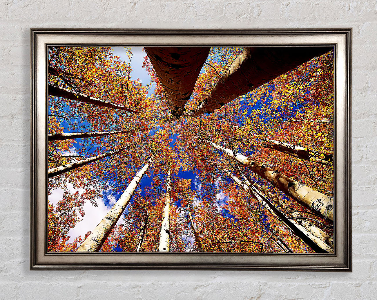 Above The Trees Framed Print