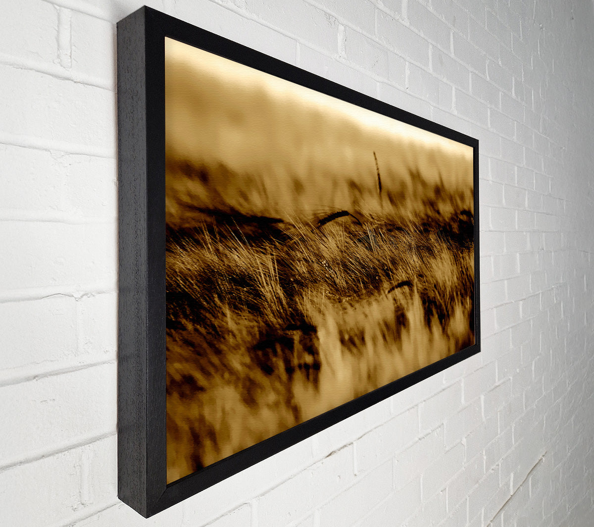 Wheatfield Sepia Canvas Wall Art