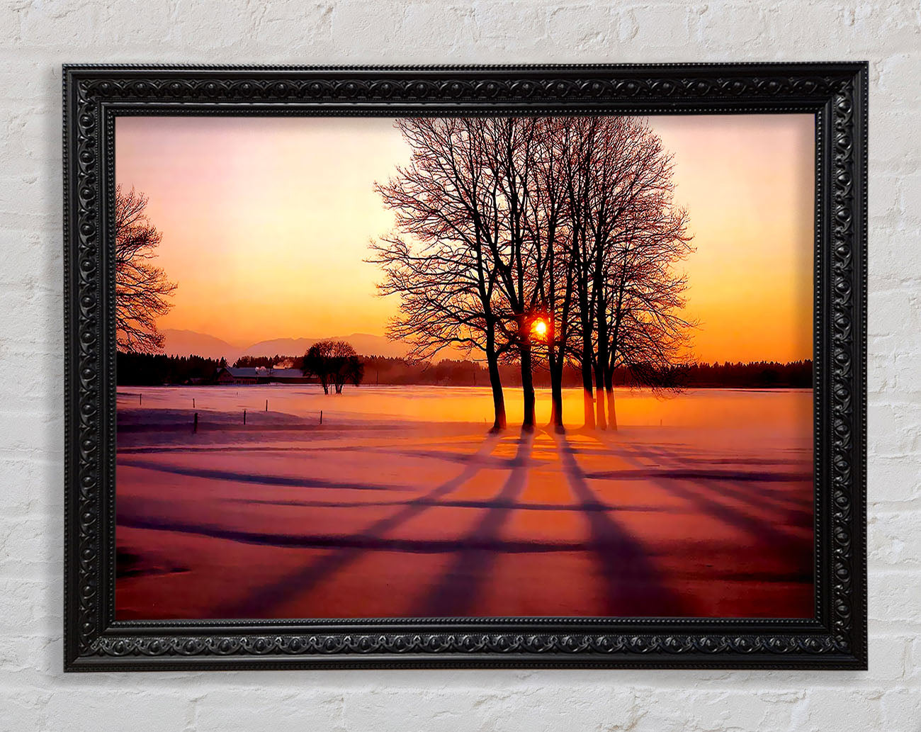 Winter Tree Sunrise Pinks Framed Print