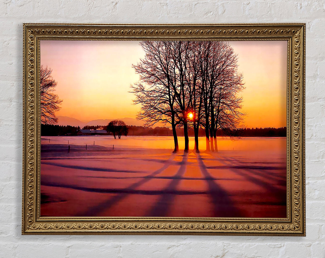Winter Tree Sunrise Pinks Framed Print