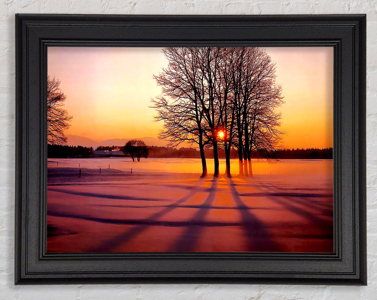 Winter Tree Sunrise Pinks Framed Print