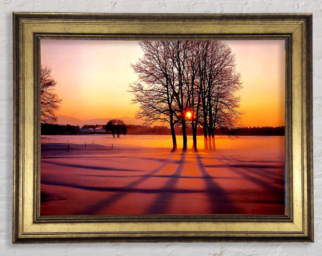 Winter Tree Sunrise Pinks Framed Print