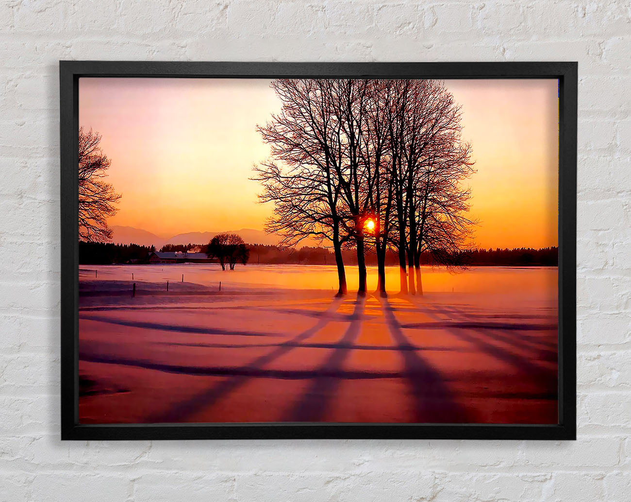 Winter Tree Sunrise Pinks Framed Print