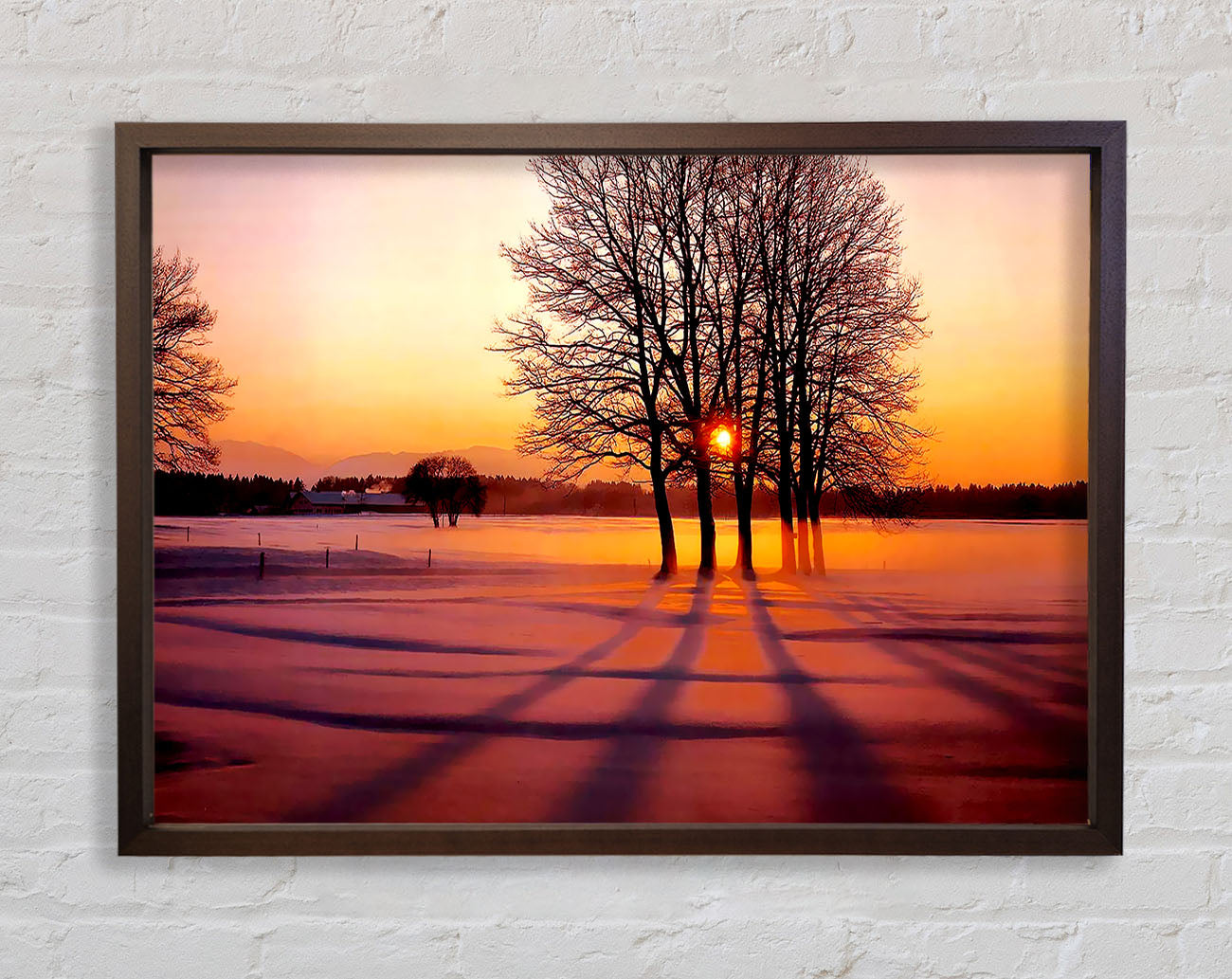 Winter Tree Sunrise Pinks Framed Print