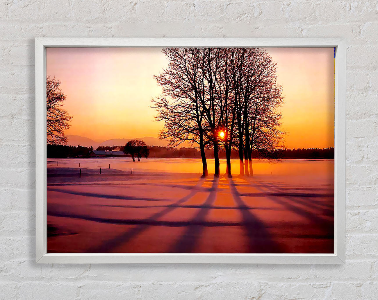 Winter Tree Sunrise Pinks Framed Print
