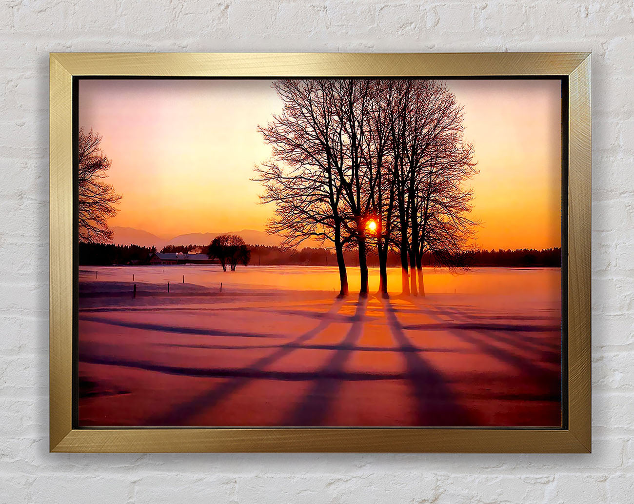 Winter Tree Sunrise Pinks Framed Print