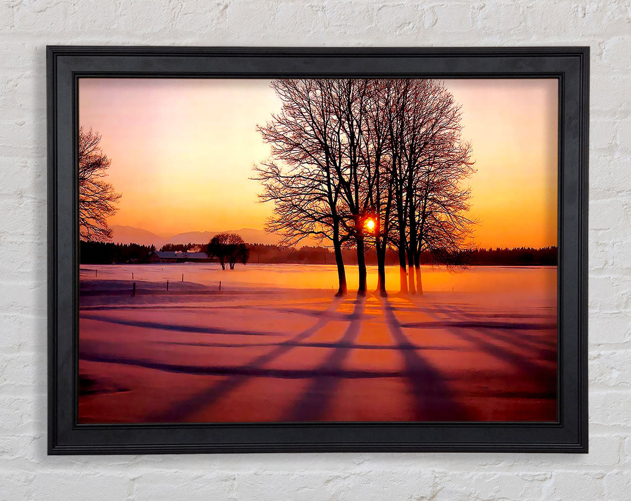 Winter Tree Sunrise Pinks Framed Print