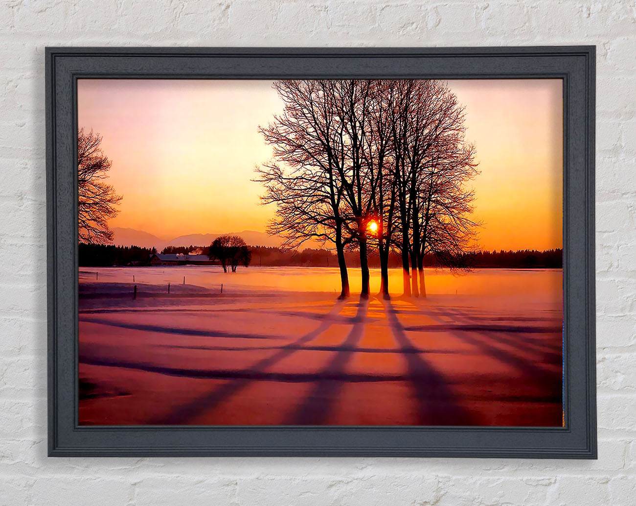 Winter Tree Sunrise Pinks Framed Print
