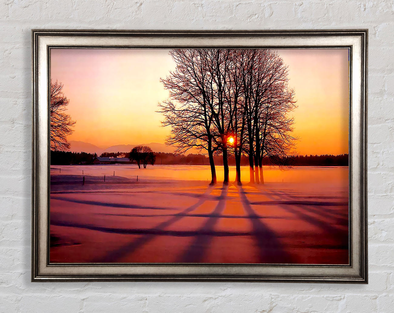 Winter Tree Sunrise Pinks Framed Print