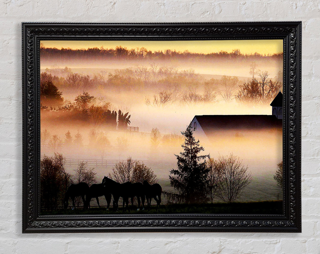 Horses In The Morning Mist Framed Print