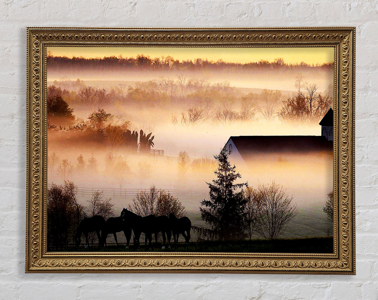 Horses In The Morning Mist Framed Print