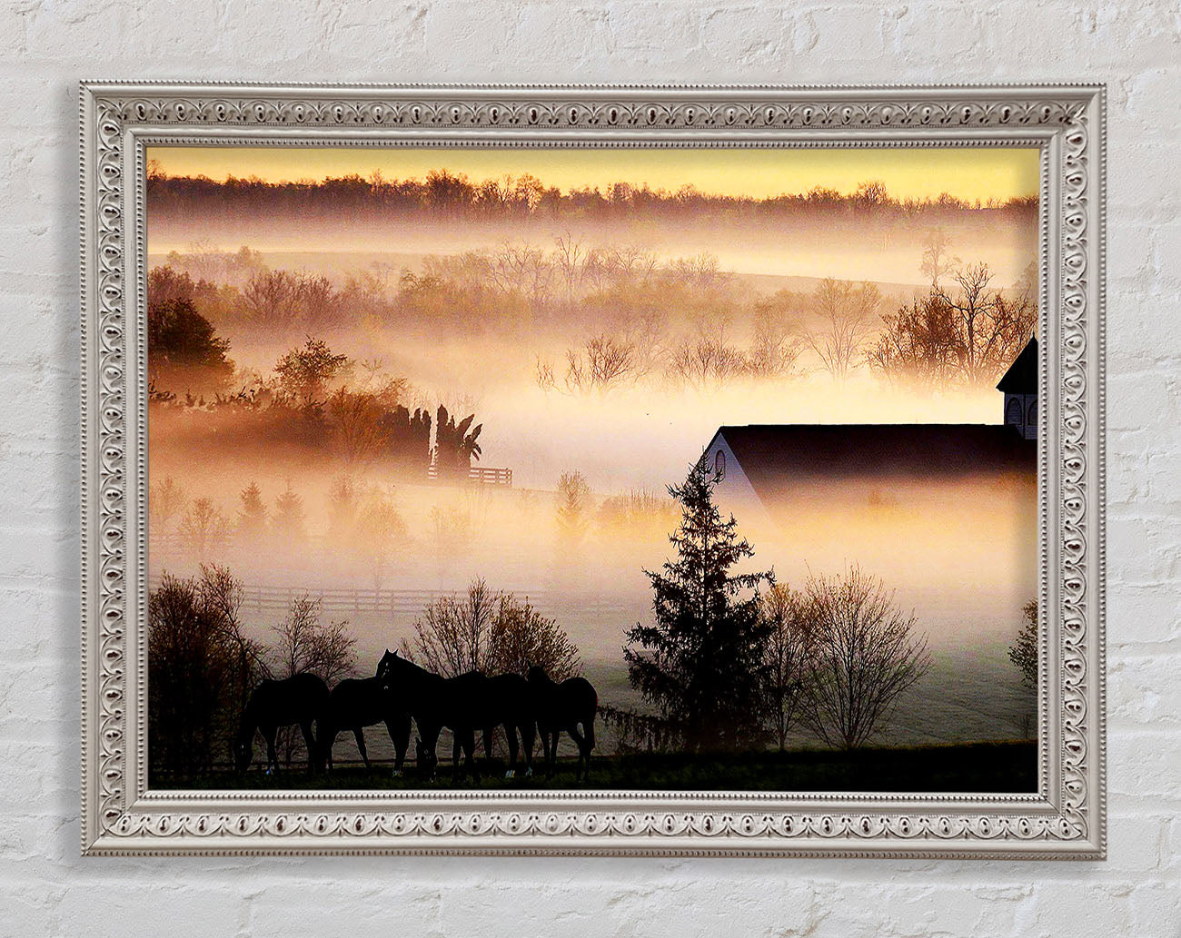 Horses In The Morning Mist Framed Print