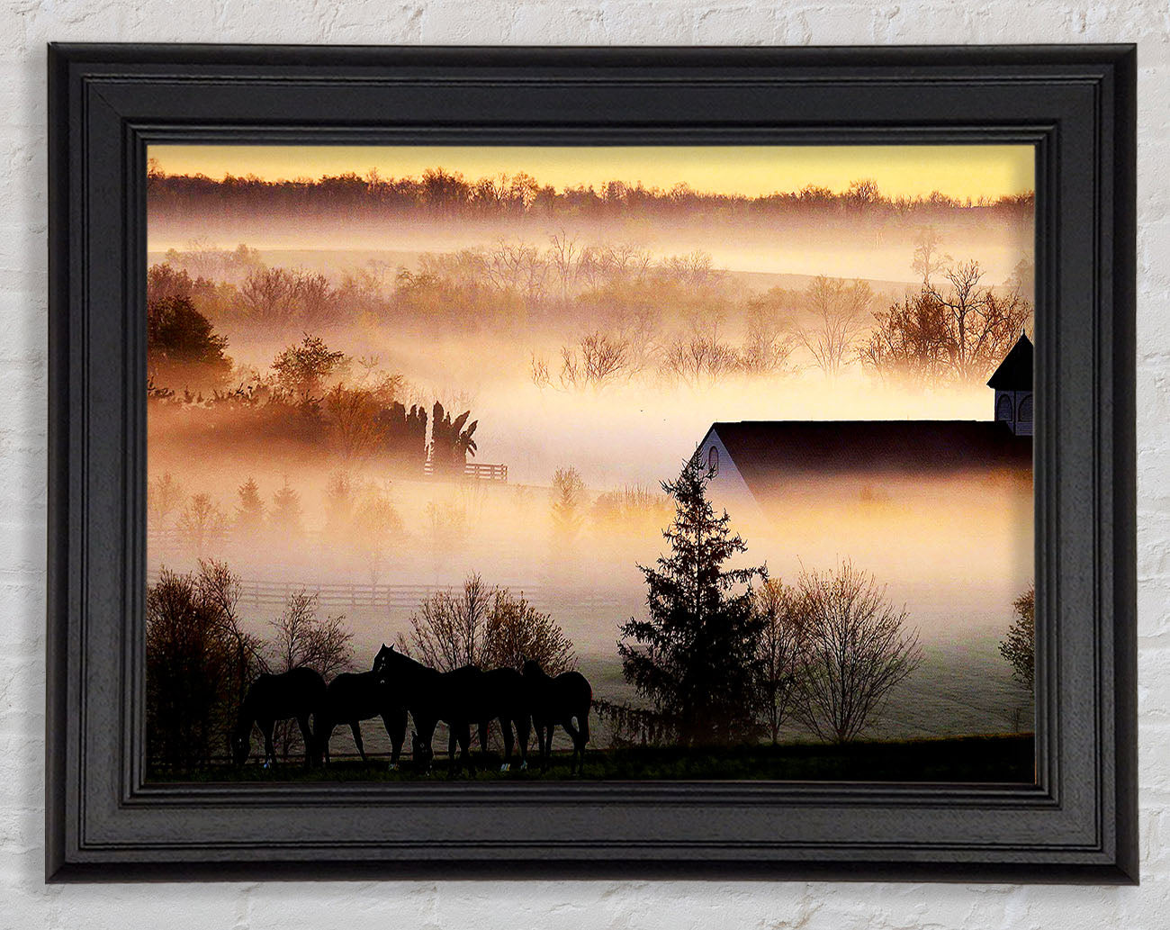 Horses In The Morning Mist Framed Print