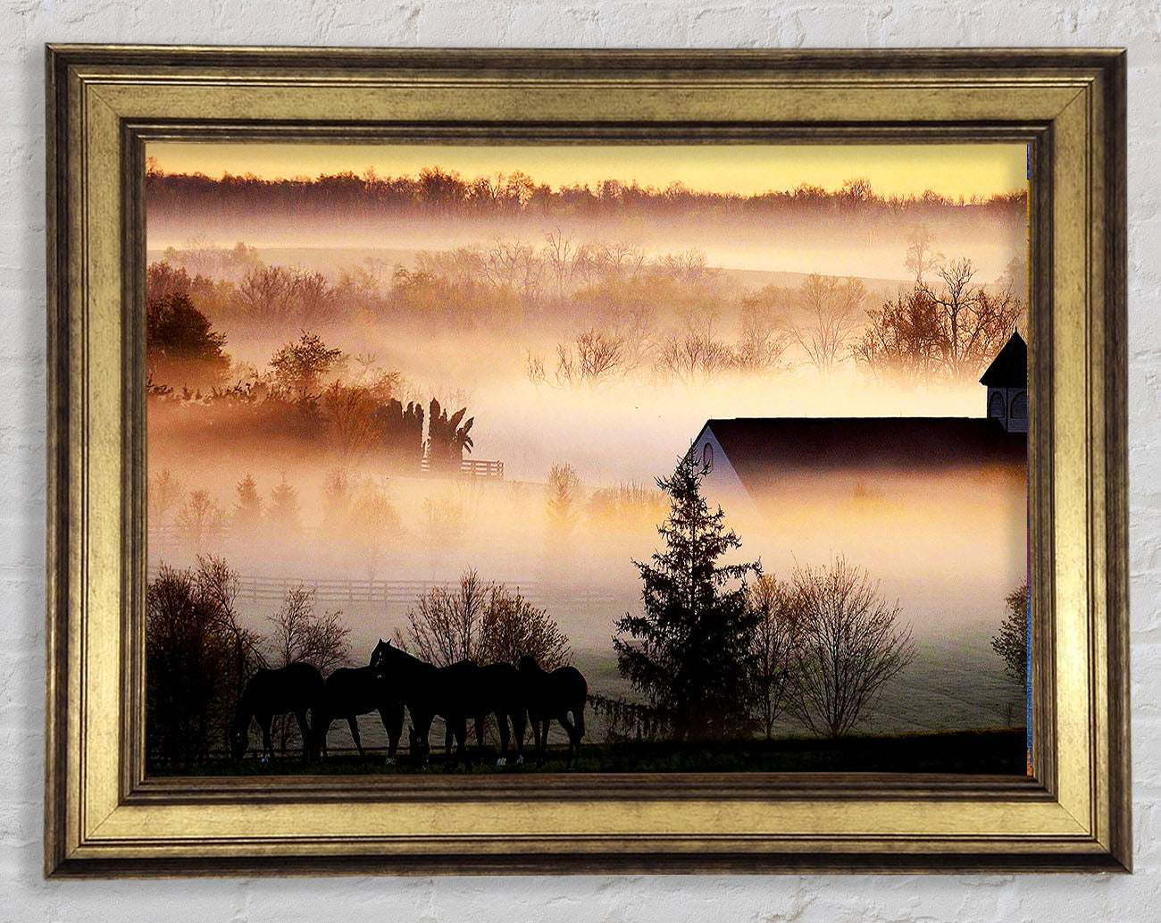 Horses In The Morning Mist Framed Print