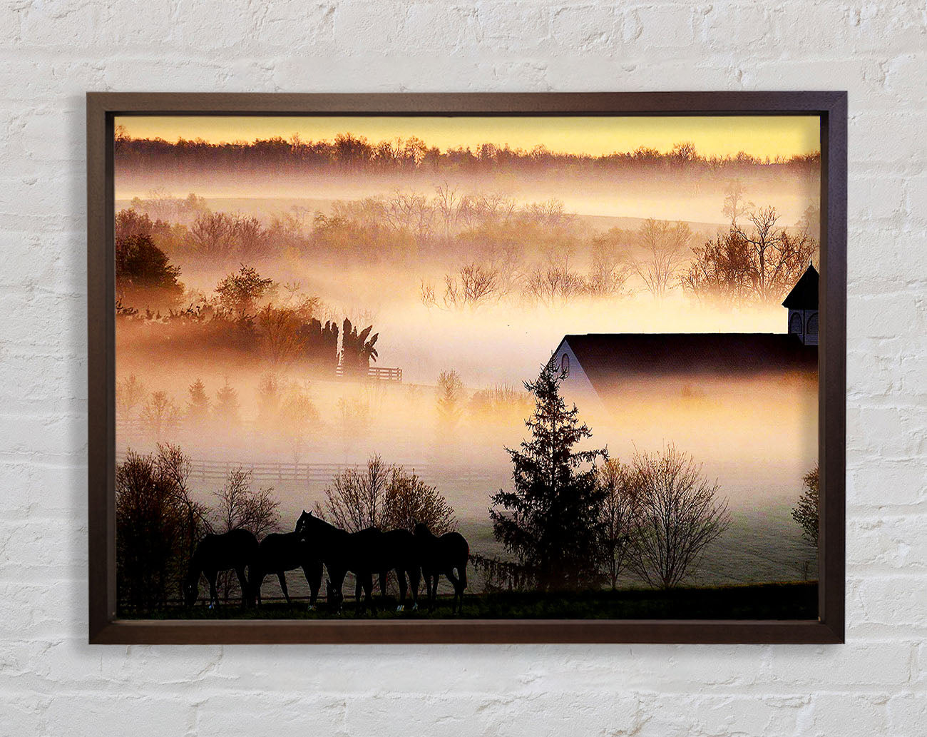 Horses In The Morning Mist Framed Print