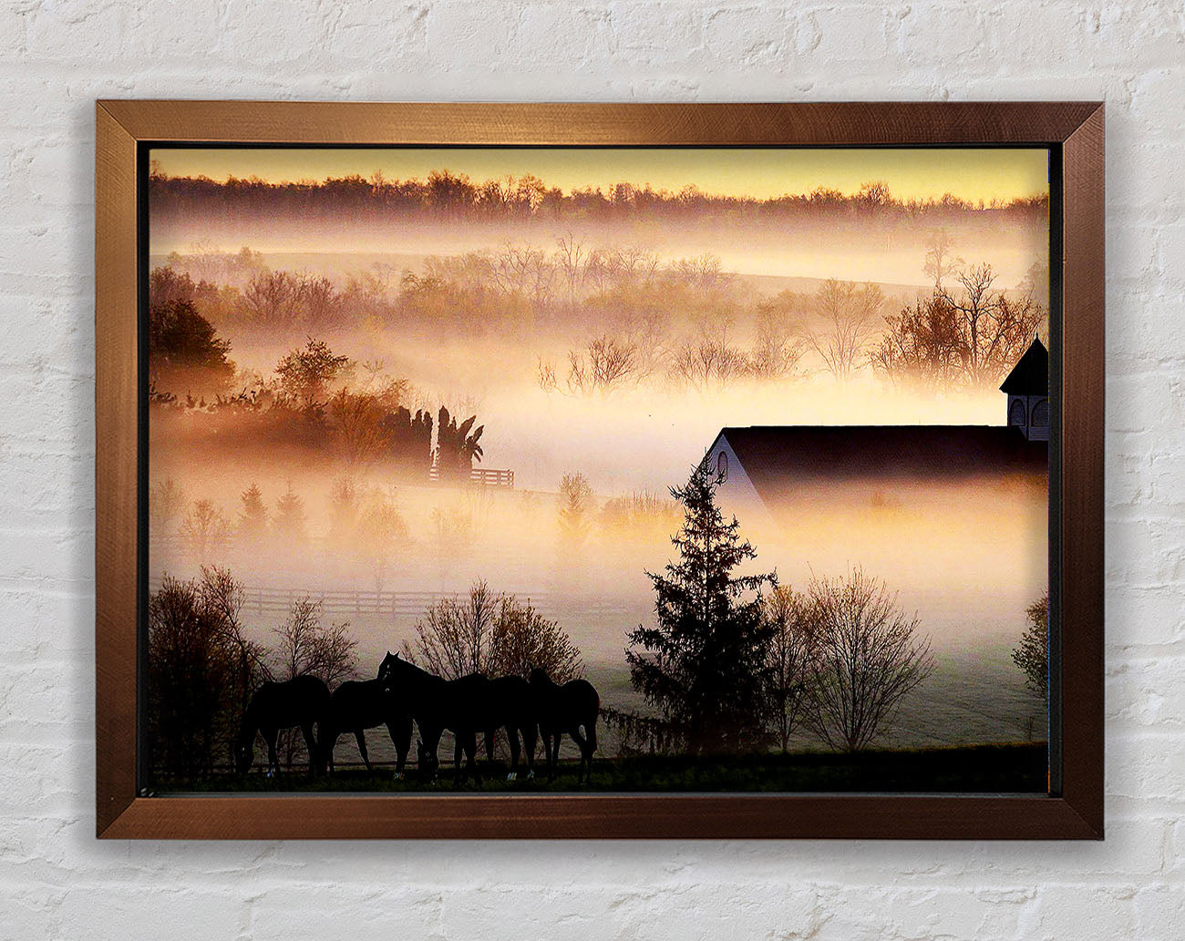 Horses In The Morning Mist Framed Print