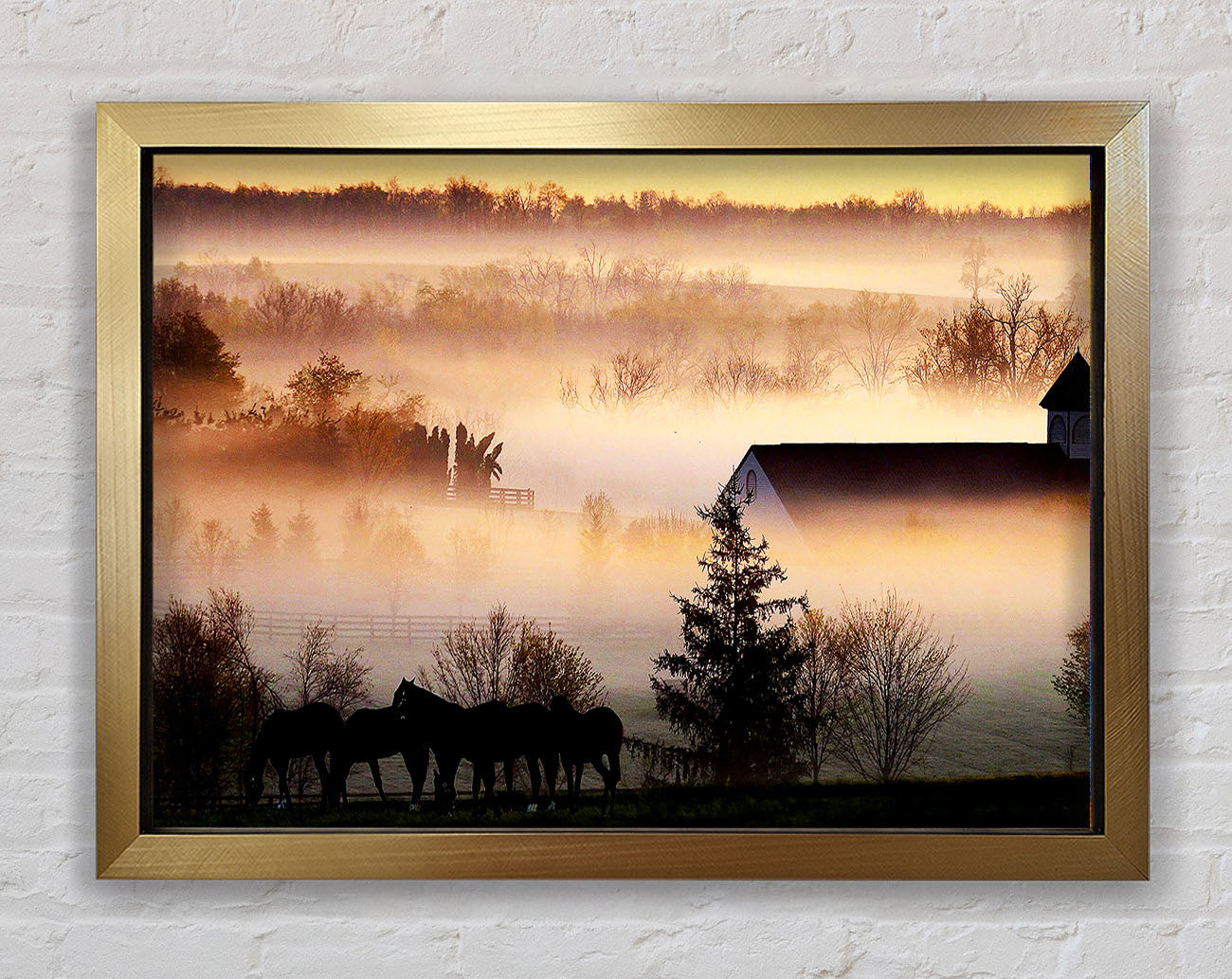 Horses In The Morning Mist Framed Print