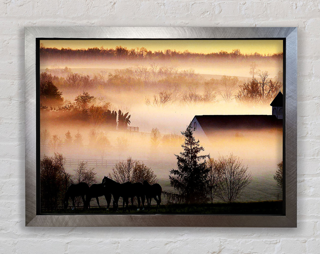 Horses In The Morning Mist Framed Print