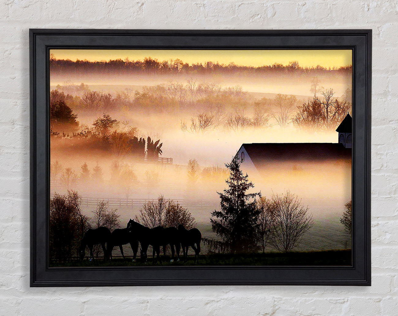 Horses In The Morning Mist Framed Print