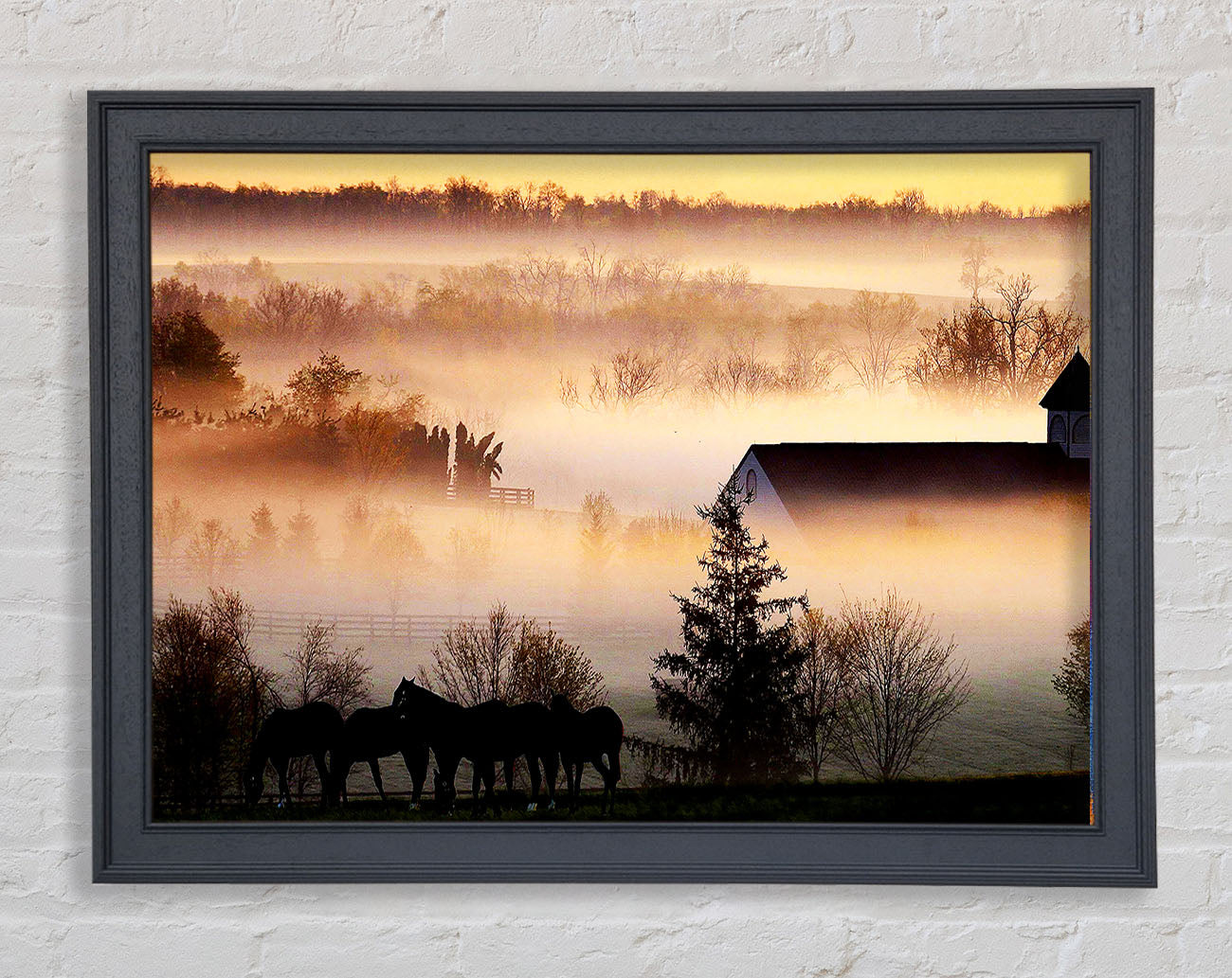 Horses In The Morning Mist Framed Print