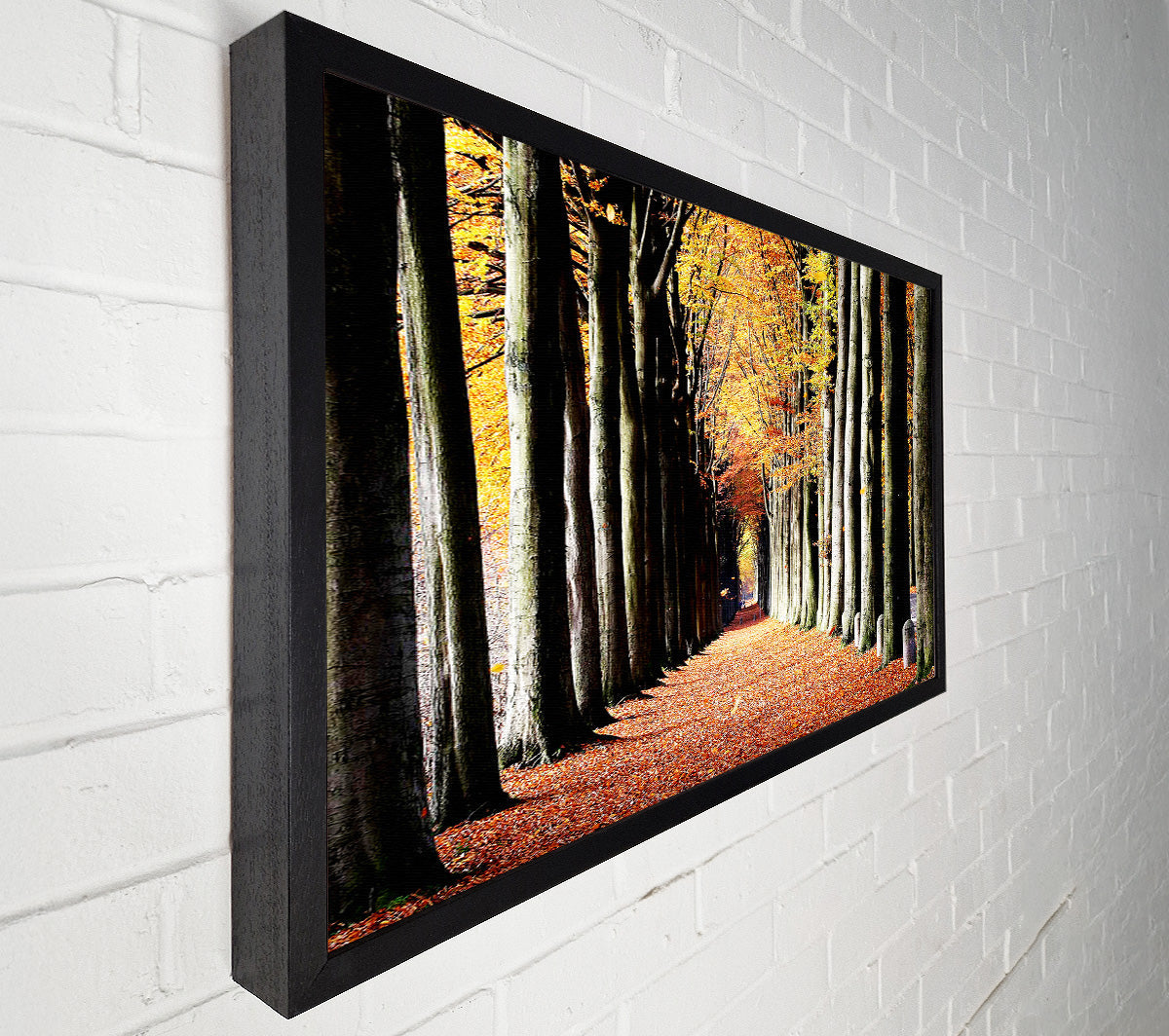 Woodland Walk Canvas Wall Art
