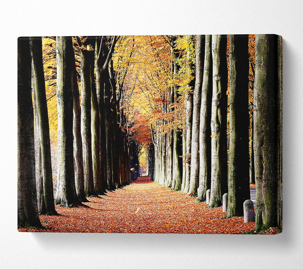 Woodland Walk Canvas Wall Art