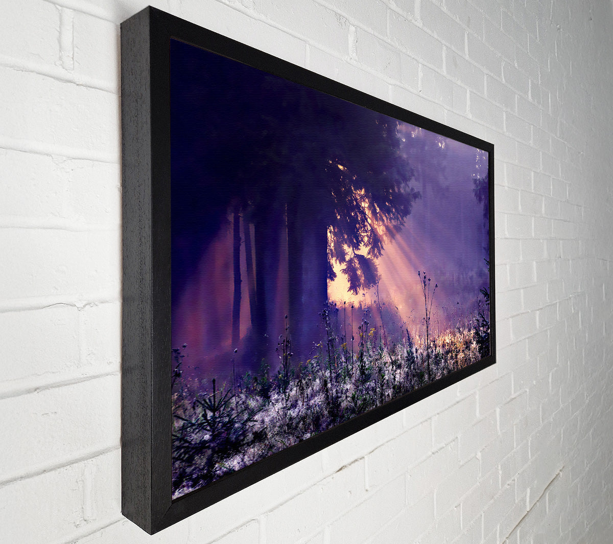 Sunray Tree Canvas Wall Art