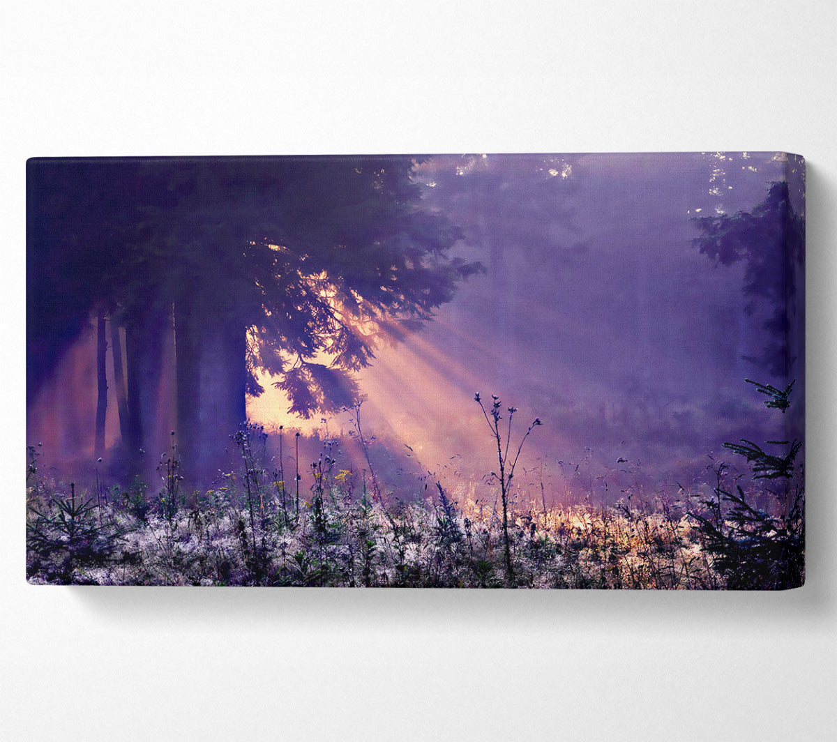 Sunray Tree Canvas Wall Art
