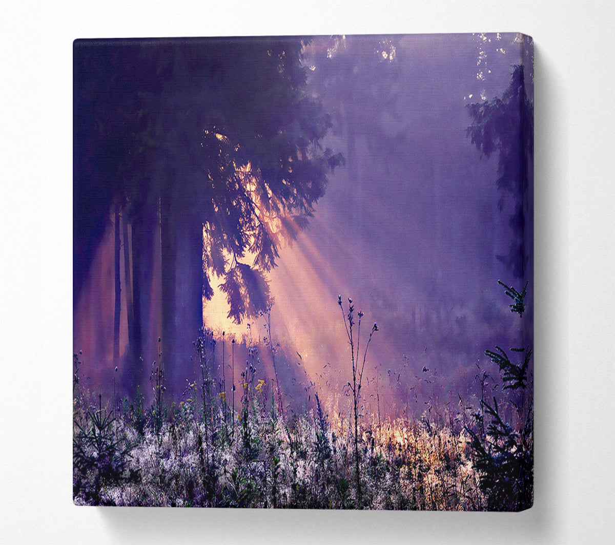 Sunray Tree Canvas Wall Art