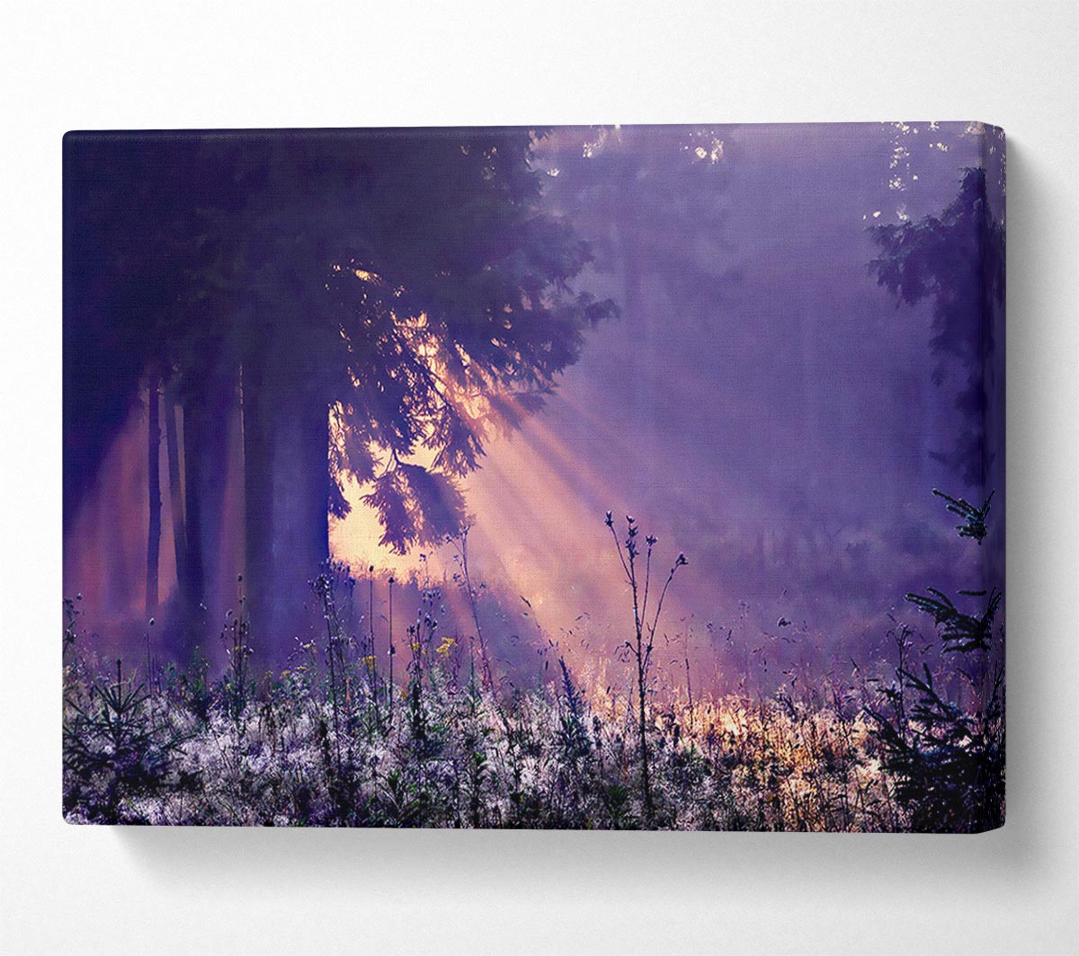 Sunray Tree Canvas Wall Art