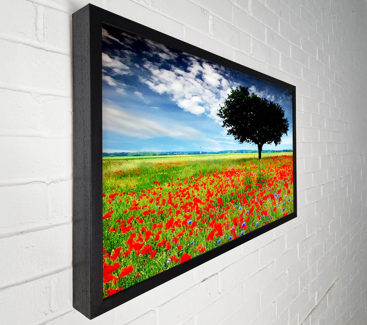 Poppy Field Tree Canvas Wall Art