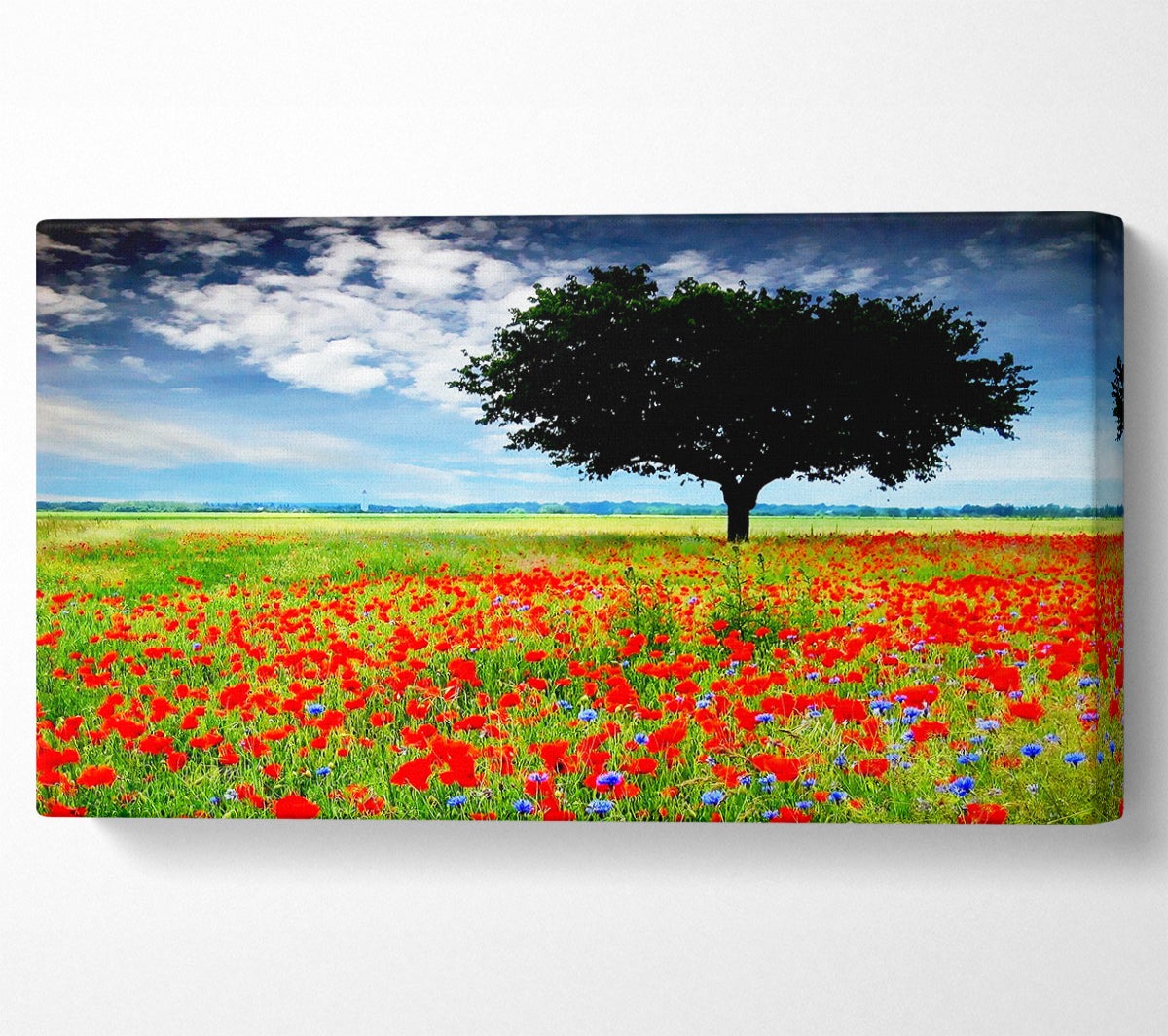 Poppy Field Tree Canvas Wall Art