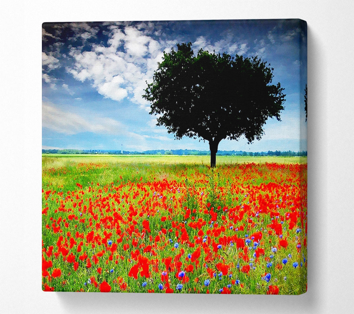 Poppy Field Tree Canvas Wall Art