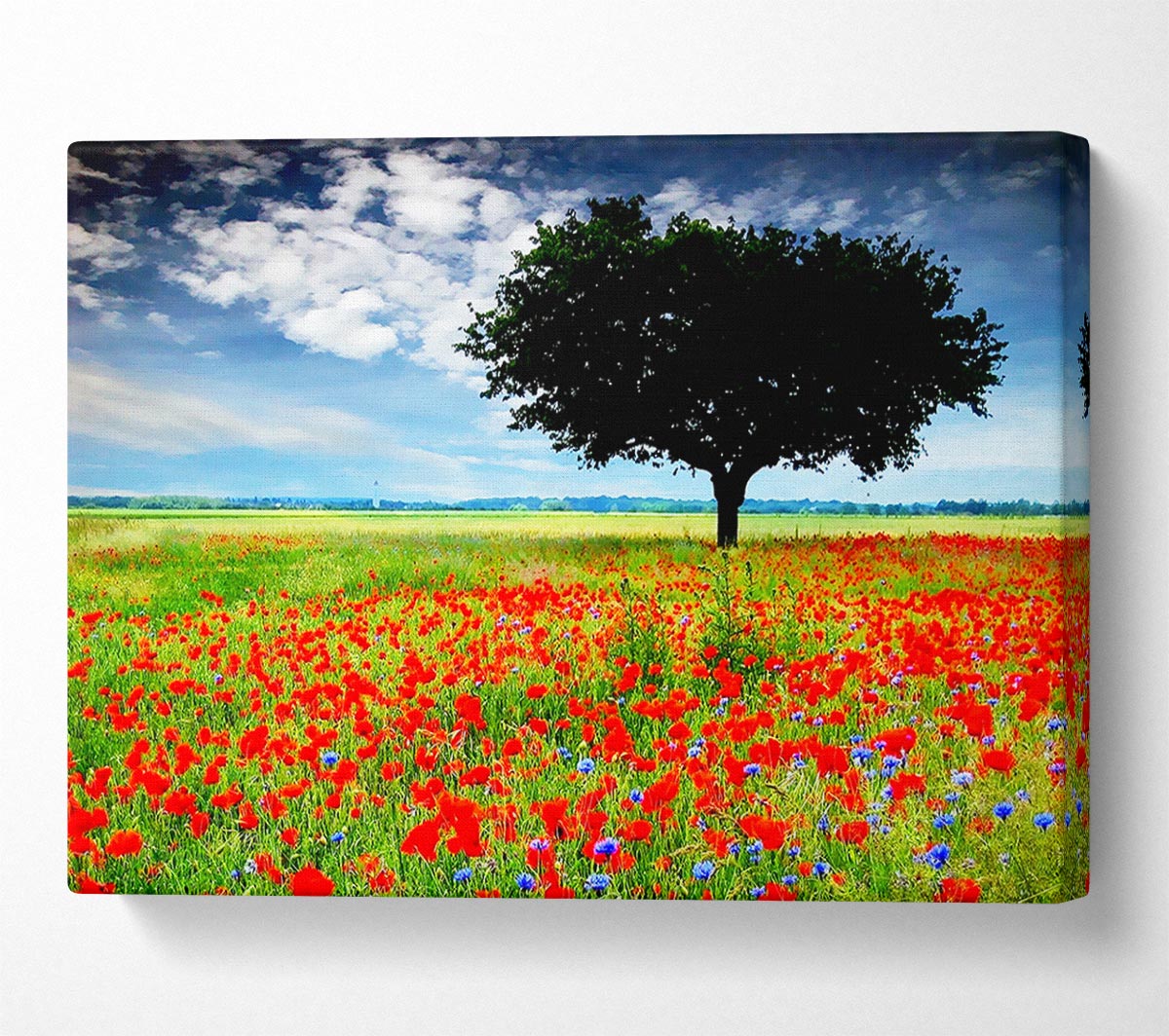 Poppy Field Tree Canvas Wall Art