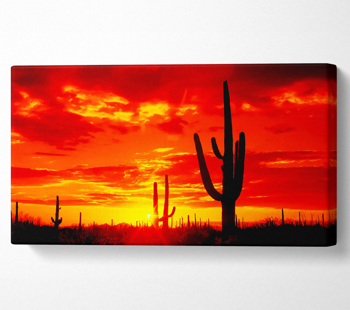 Red Desert Cactus Canvas Print