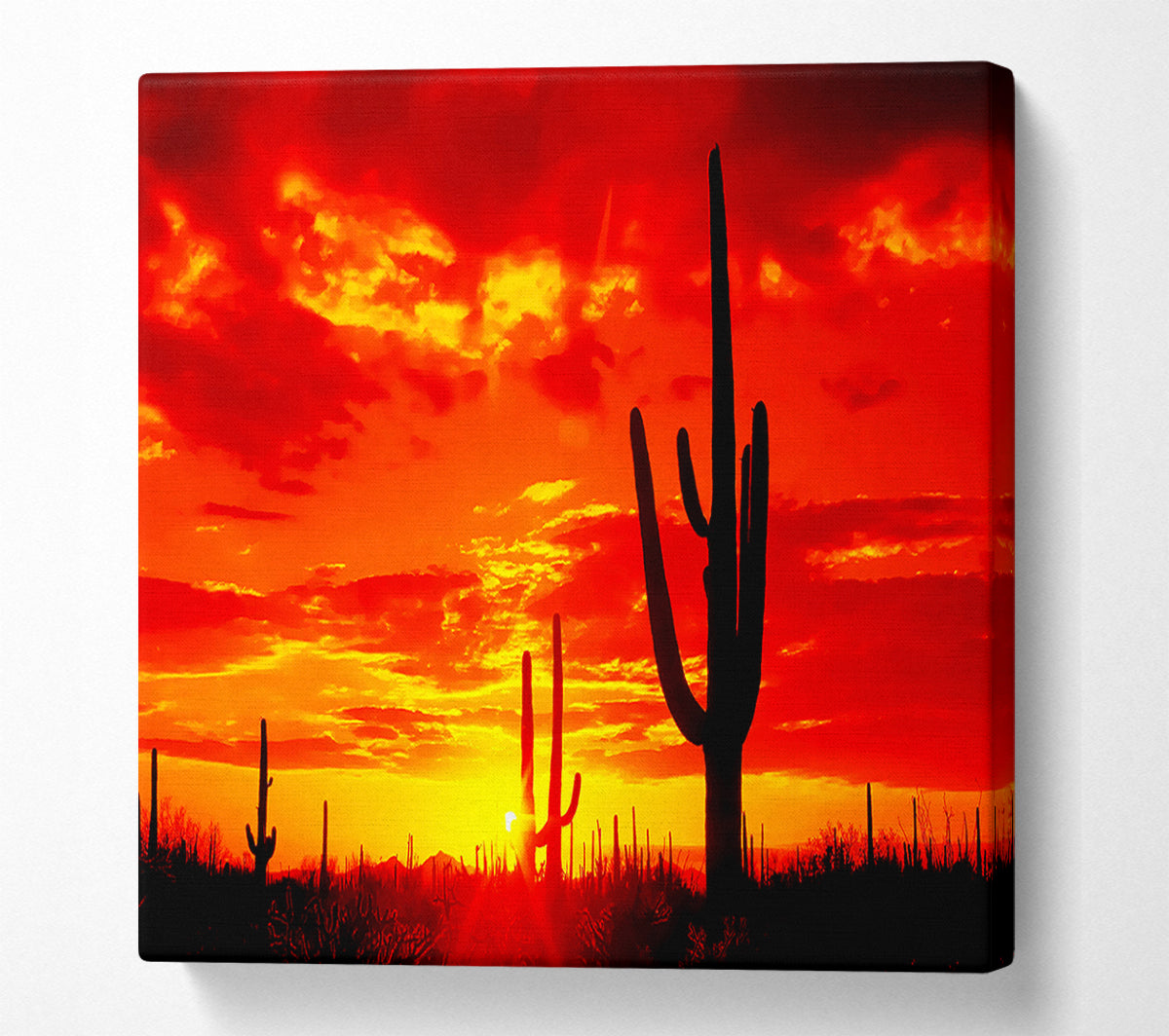 Red Desert Cactus Canvas Print