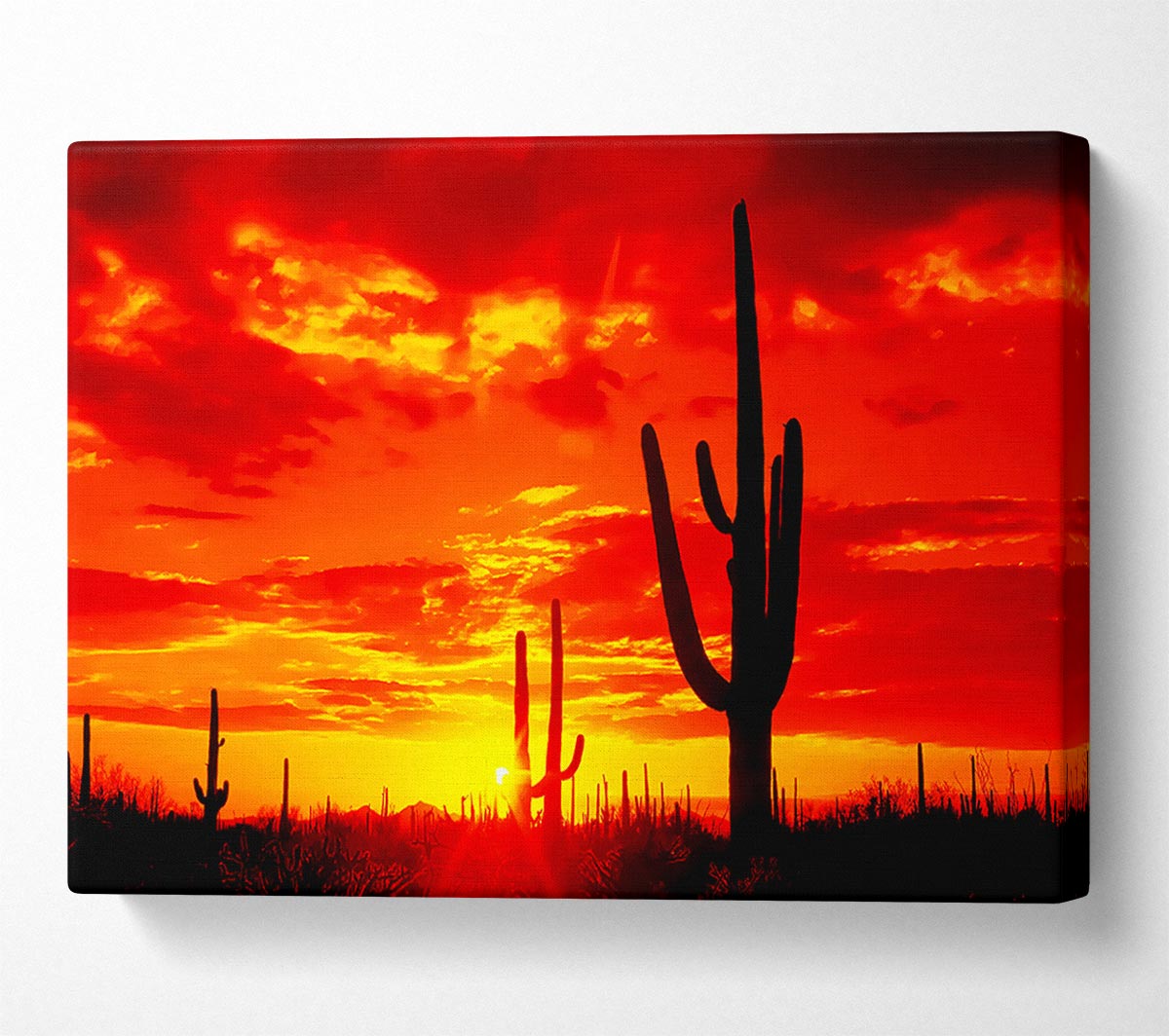 Red Desert Cactus Canvas Print