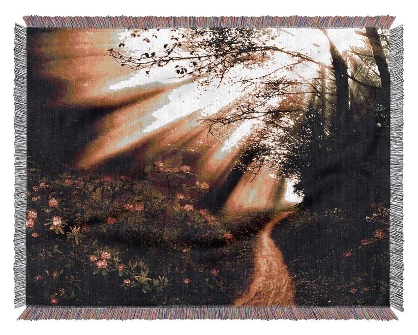 Mystical Garden Path