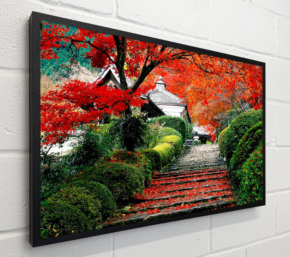 Red Autumn Garden