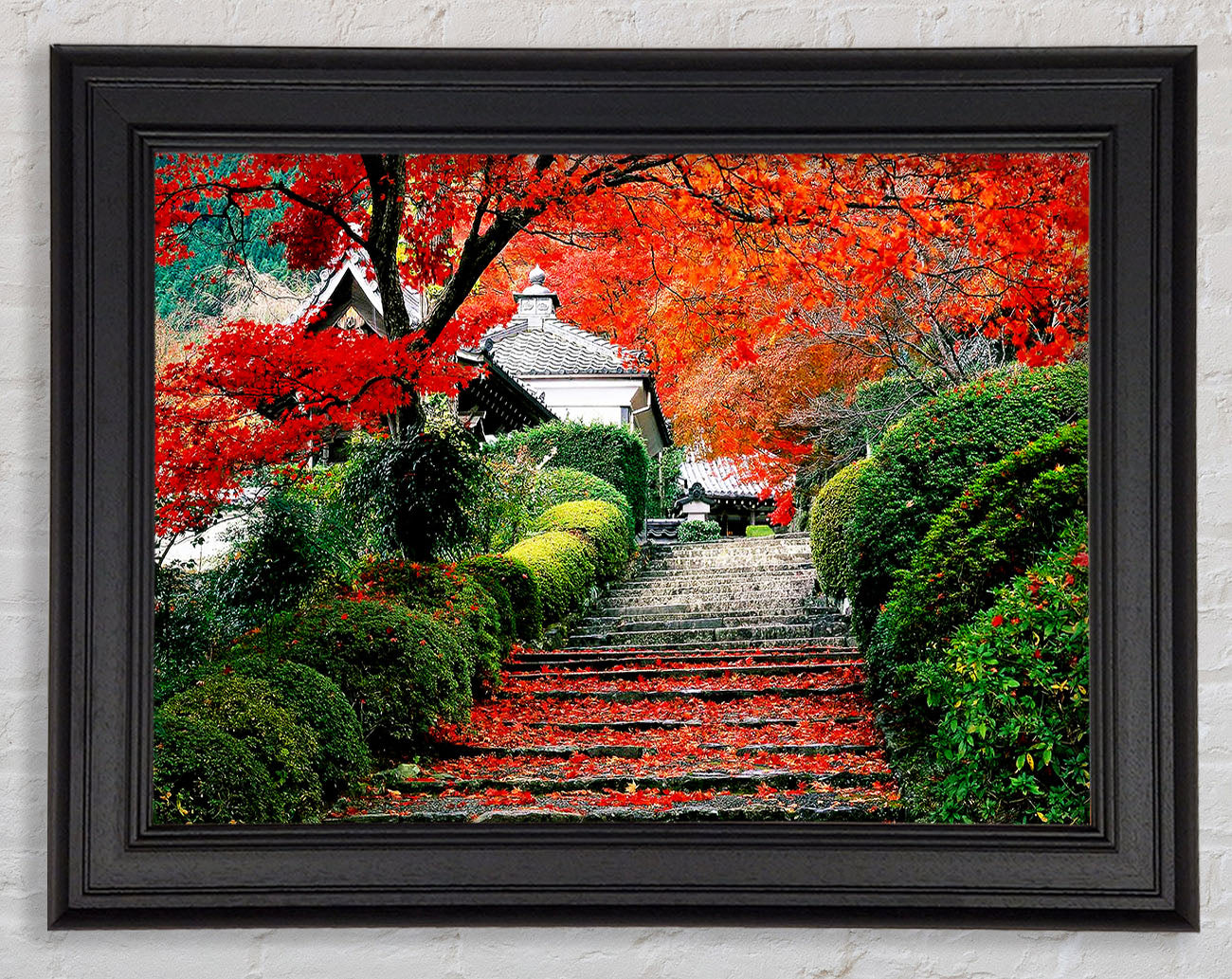 Red Autumn Garden Framed Print