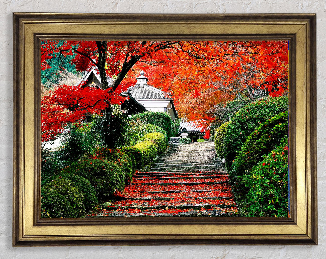 Red Autumn Garden Framed Print
