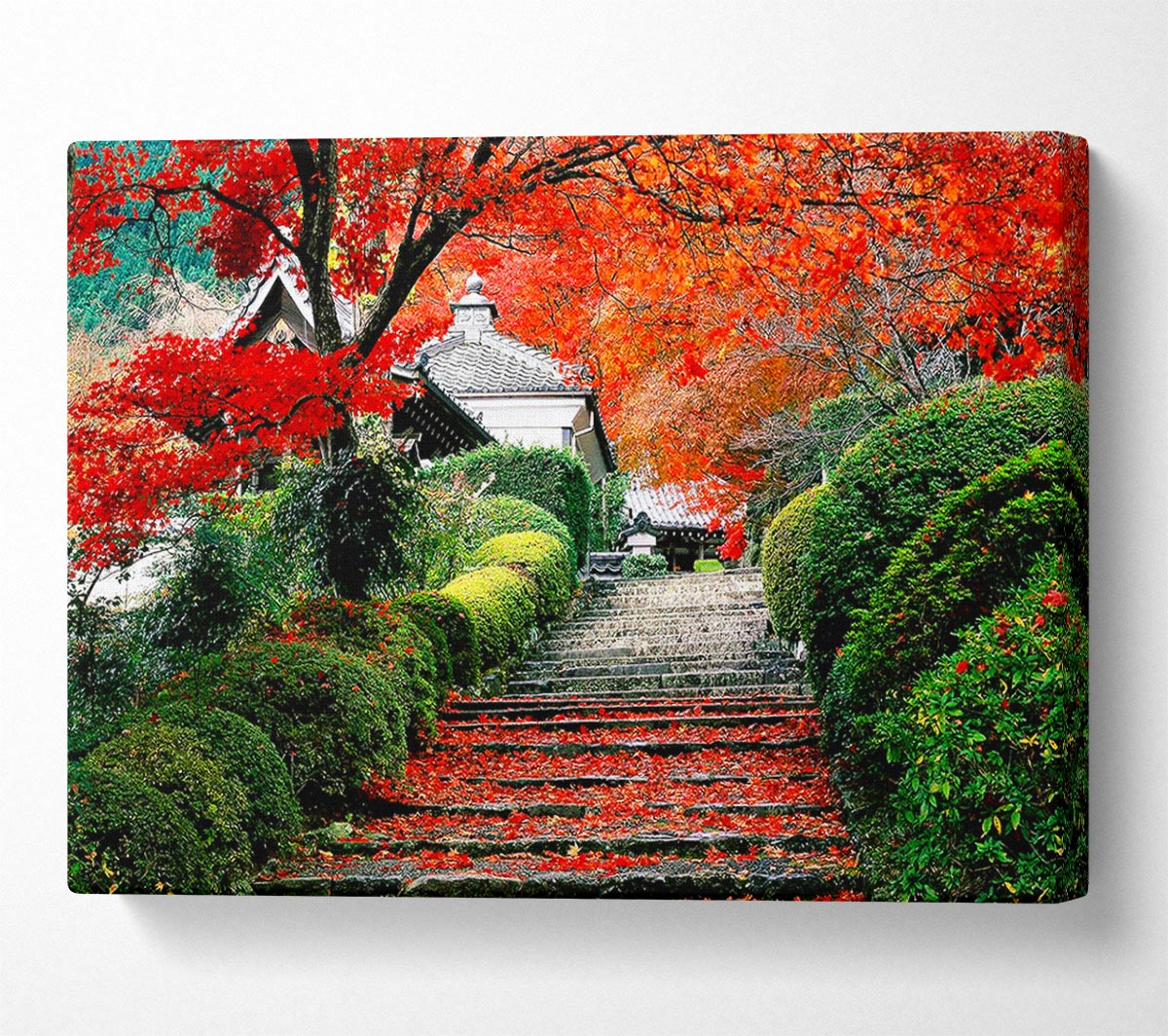 Red Autumn Garden Canvas Art