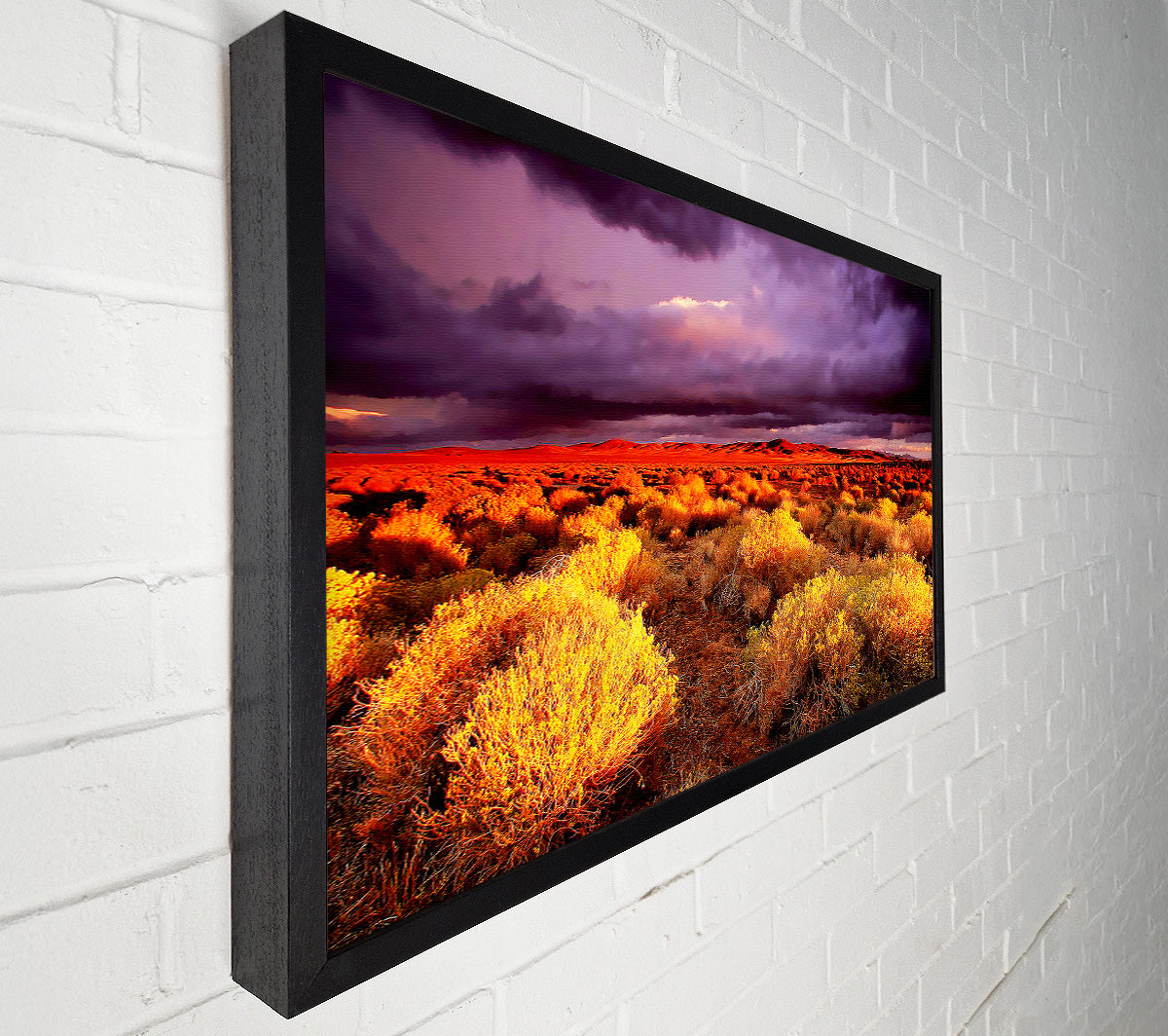 Storm Over Desert Canvas Wall Art