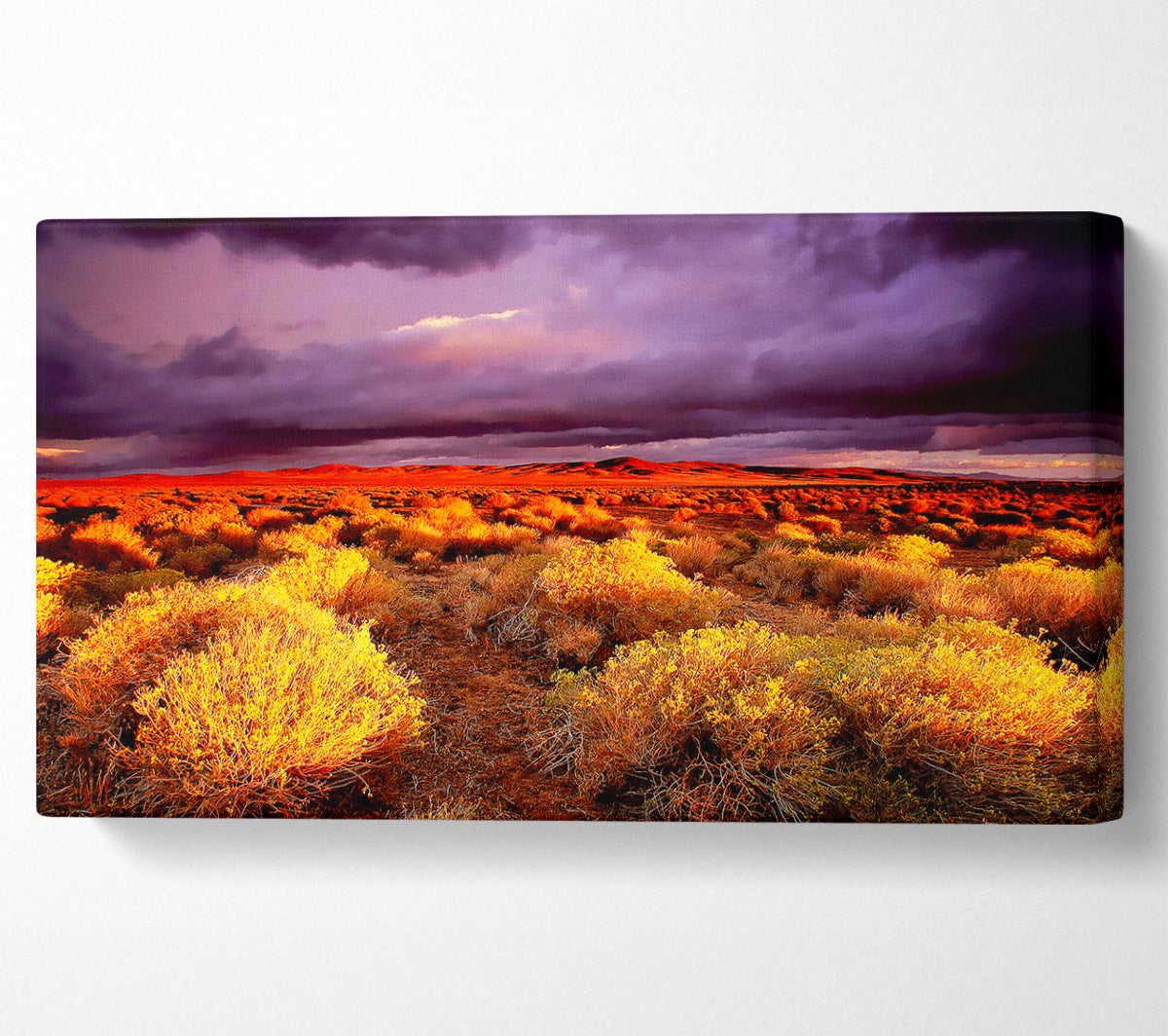 Storm Over Desert Canvas Wall Art