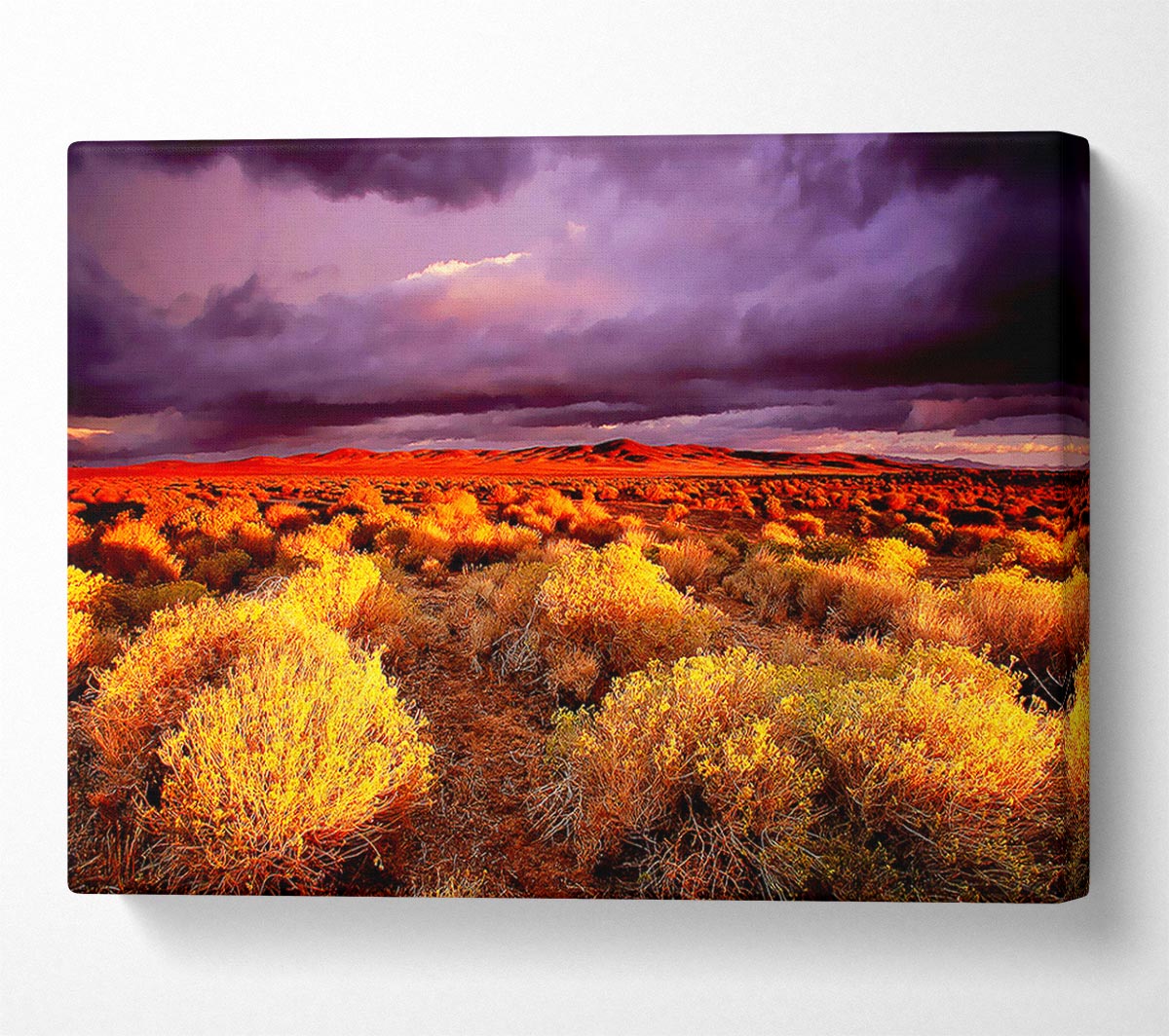 Storm Over Desert Canvas Wall Art